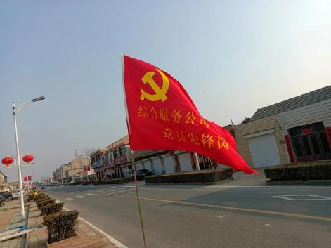 新灘鹽場&ldquo;三管齊下&rdquo;打造靚麗新灘名片2.jpg